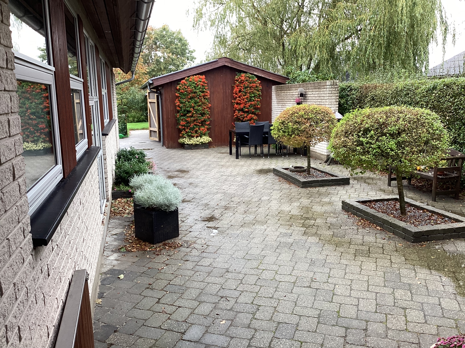 Billeder af Lenas forhave