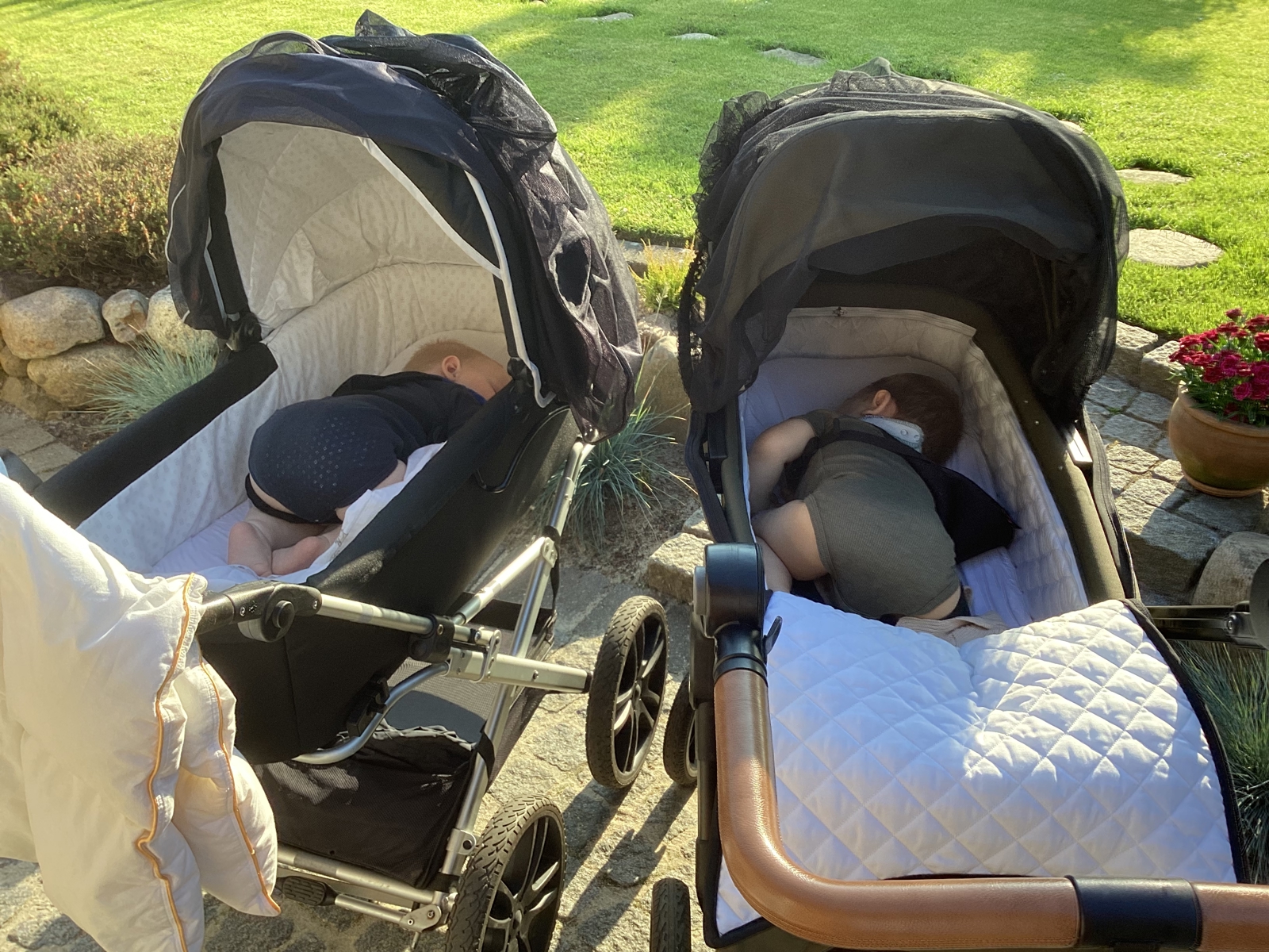 Billede af barnevogne